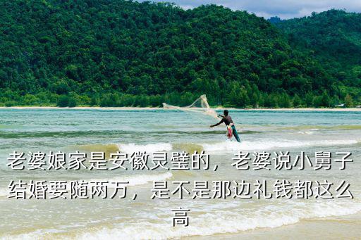 老婆娘家是安徽靈璧的，老婆說小舅子結婚要隨兩萬，是不是那邊禮錢都這么高
