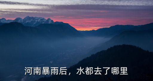 河南大水都排到哪里了,水都去了哪里