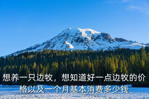 想養一只邊牧，想知道好一點邊牧的價格以及一個月基本消費多少錢
