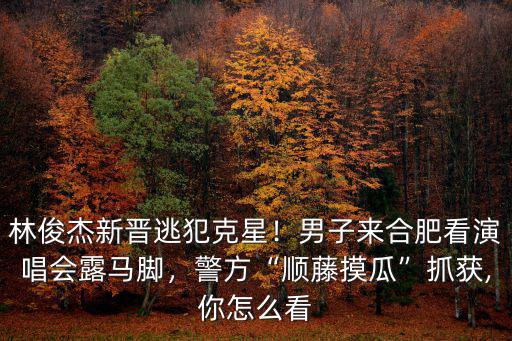 林俊杰合肥演唱會一共多少人,林俊杰2018年有演唱會嗎