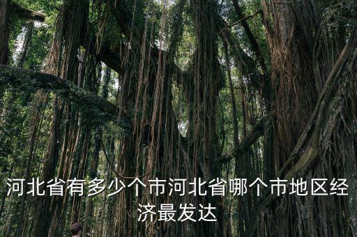 河北省有多少個市河北省哪個市地區(qū)經(jīng)濟(jì)最發(fā)達(dá)