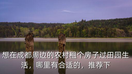 成都洋娃娃哪里有,哪里有合適的