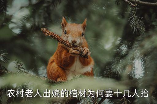宿州老人去世多少人抬棺材,農(nóng)村老人去世