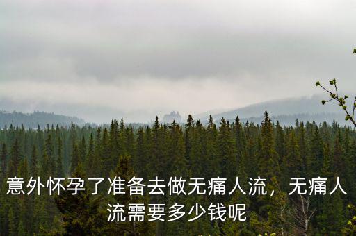 合肥無痛人流一般需要多少錢,無痛人流需要多少錢呢