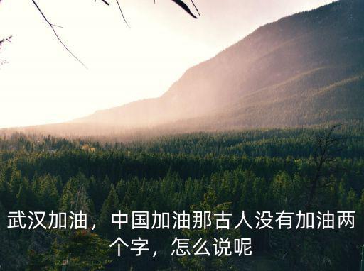 武漢加油，中國加油那古人沒有加油兩個字，怎么說呢