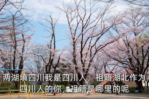 兩湖填四川我是四川人，祖籍湖北作為四川人的你，祖籍是哪里的呢