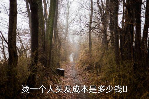 燙一個(gè)人頭發(fā)成本是多少錢?