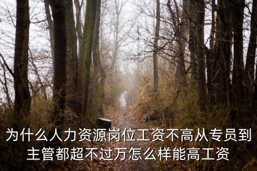 為什么人力資源崗位工資不高從專員到主管都超不過萬怎么樣能高工資