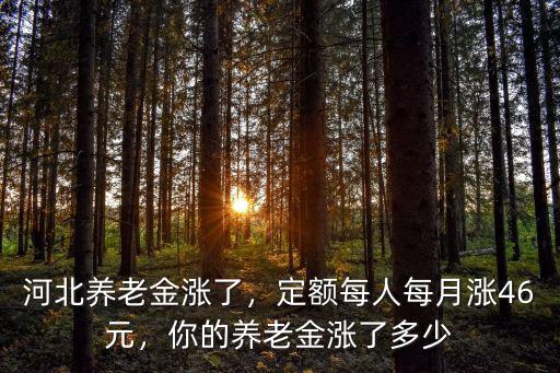 河北養老金漲了，定額每人每月漲46元，你的養老金漲了多少