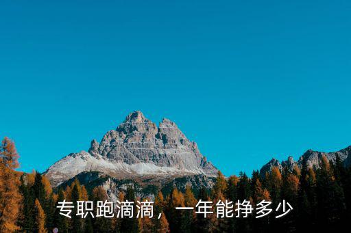 專職跑滴滴，一年能掙多少