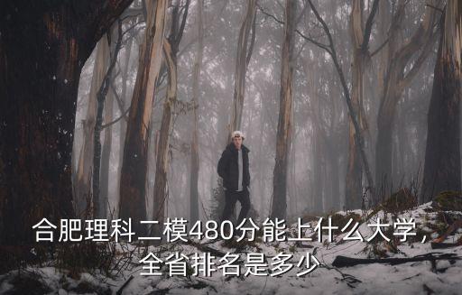 合肥理科二模480分能上什么大學，全省排名是多少