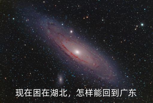 現在廣東怎么回湖北荊州,現在困在湖北
