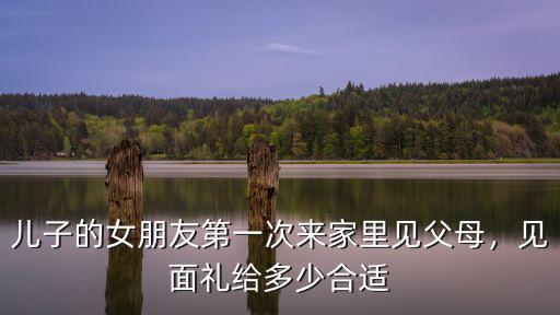 合肥女朋友見父母多少合適,父母給多少見面禮合適