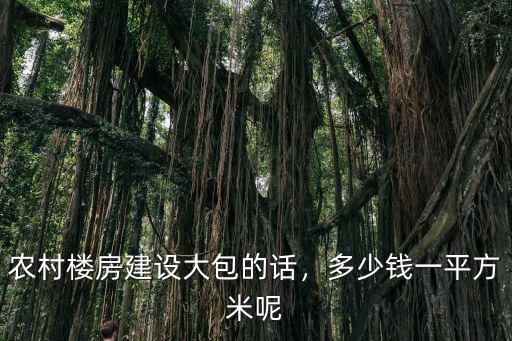 南陽市建筑大包多少錢一平方,多少錢一平方米呢