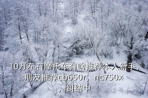 10萬左右摩托車有啥推薦本人新手，朋友推薦cb650r，nc750x，糾結中