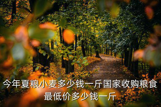 衡水小麥多少錢一斤,今年夏糧小麥多少錢一斤