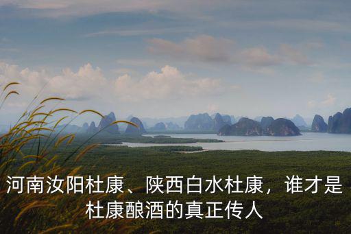 河南汝陽(yáng)杜康、陜西白水杜康，誰(shuí)才是杜康釀酒的真正傳人
