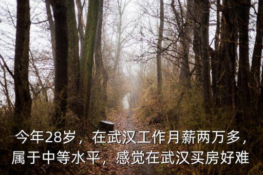 在武漢買房怎么這難,在武漢周邊買房好