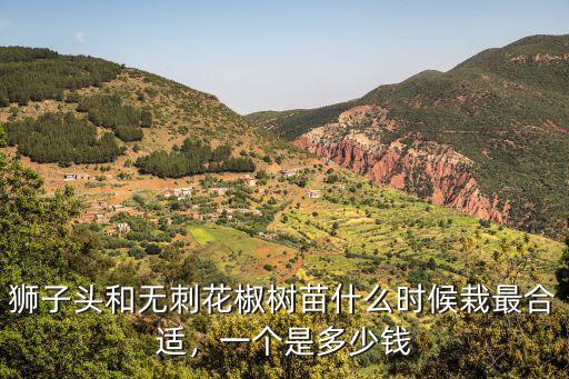 獅子頭和無(wú)刺花椒樹苗什么時(shí)候栽最合適，一個(gè)是多少錢