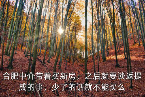 合肥中介新房提點是多少,合肥現在二手房中介費是多少