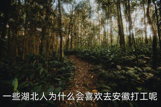 一些湖北人為什么會喜歡去安徽打工呢