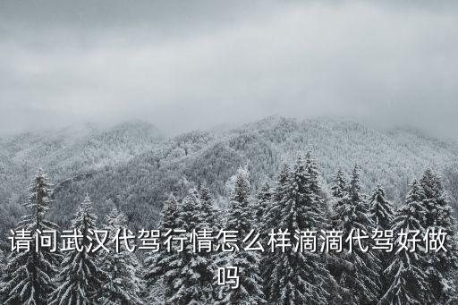 武漢滴滴代駕怎么加入不了,滴滴代駕好做嗎