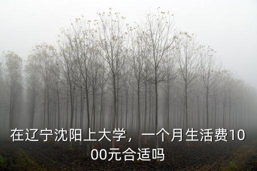 在承德上大學一個月多少生活費,在遼寧沈陽上大學