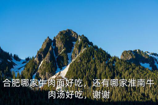 合肥牛肉面多少錢一碗,你那里一碗牛肉面都多少錢了