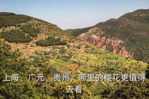 廣元哪里有大片的花,四川廣元哪里可以賞花