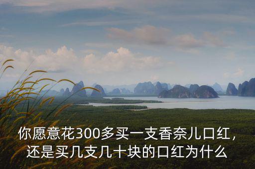 你愿意花300多買一支香奈兒口紅，還是買幾支幾十塊的口紅為什么