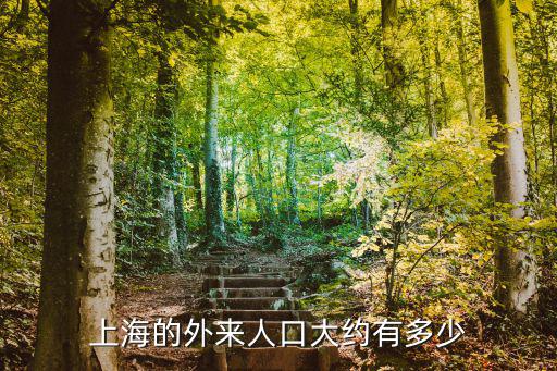 廊坊桐柏外來人口有多少,上海的外來人口大約有多少