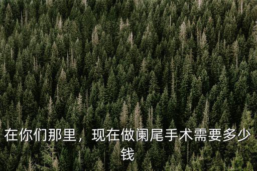 安徽省闌尾炎手術多少錢,正常闌尾炎手術