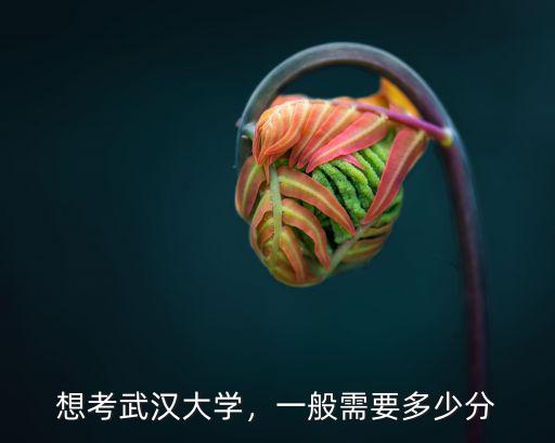 想考武漢大學，一般需要多少分