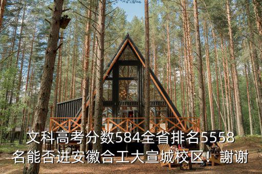 文科高考分數584全省排名5558名能否進安徽合工大宣城校區！謝謝