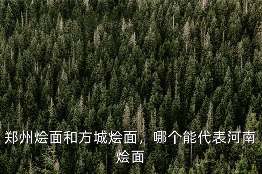 鄭州燴面和方城燴面，哪個(gè)能代表河南燴面