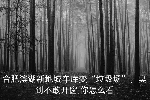合肥濱湖車庫多少錢一個月,合肥濱湖新地城車庫變垃圾場