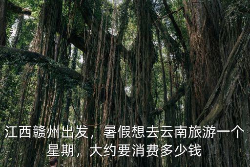 江西贛州出發，暑假想去云南旅游一個星期，大約要消費多少錢
