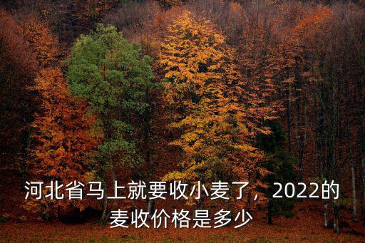 河北辛集小麥新價格是多少錢,2022的麥?zhǔn)諆r格是多少
