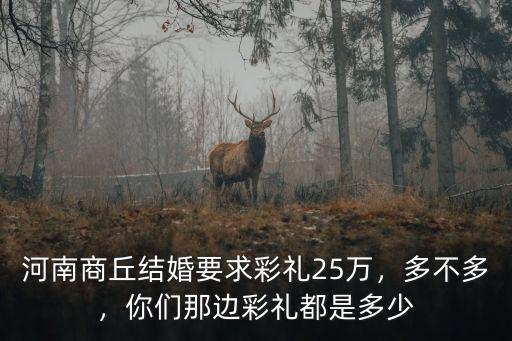 河南商丘結婚要求彩禮25萬，多不多，你們那邊彩禮都是多少