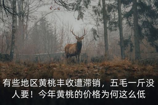 宿州黃桃多少錢一斤,黃桃的價格現在多少錢一斤