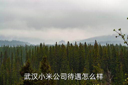武漢小米公司待遇怎么樣