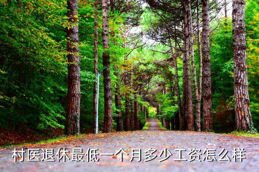 六安村醫一個月多少錢,村醫退休最低一個月多少工資