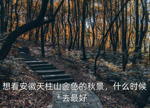 安徽天柱山明天的氣溫是多少,想看安徽天柱山金色的秋景