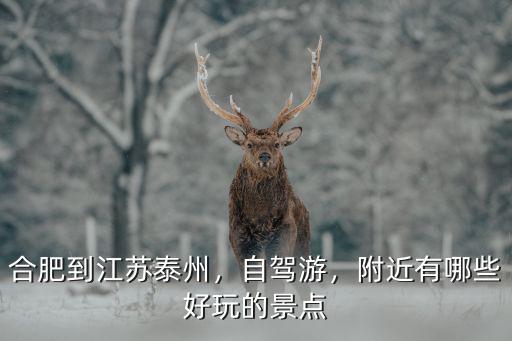 江蘇泰州到安徽合肥有多少公里,合肥到江蘇泰州