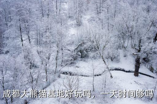 半天時間成都哪里看熊貓,成都有兩個熊貓基地