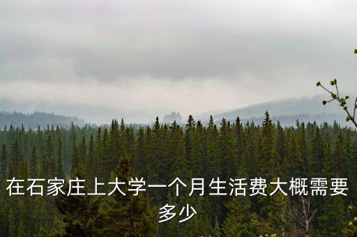 石家莊學(xué)生怎么找多少錢一個(gè)月多少錢一個(gè)月,大學(xué)生一個(gè)月生活費(fèi)多少合適