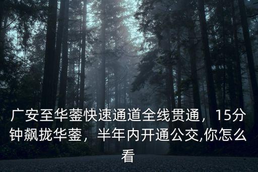 廣安至華鎣快速通道全線貫通，15分鐘飆攏華鎣，半年內開通公交,你怎么看