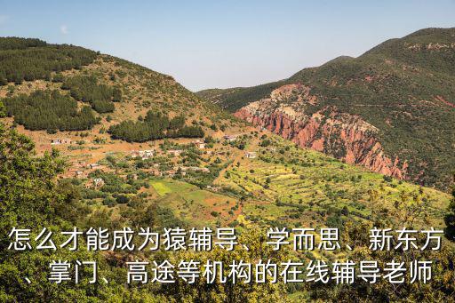 怎么才能成為猿輔導、學而思、新東方、掌門、高途等機構的在線輔導老師