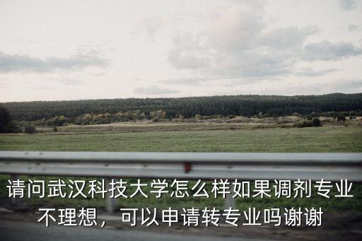 武漢科技大學轉專業怎么轉,請問武漢科技大學怎么樣
