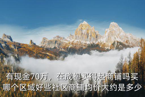 成都哪里有商鋪買,在成都買得起商鋪嗎